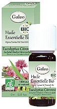 Kup Olejek eteryczny Eukaliptus cytrynowy - Galeo Organic Essential Oil Eucalyptus Citriodora