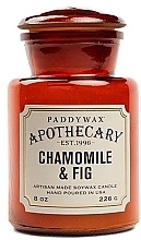 Świeca zapachowa w słoiku - Paddywax Apothecary Artisan Made Soywax Candle Chamomile & Fig — Zdjęcie N1