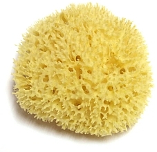 Myjka do ciała - Hydrea London Honeycomb Sea Sponge Premium Quality — Zdjęcie N1