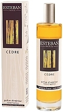 Kup Esteban Cedre - Perfumowany spray do domu