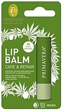 Kup Balsam do ust Pielęgnacja i odbudowa - Primavera Lip Balm Care & Repair