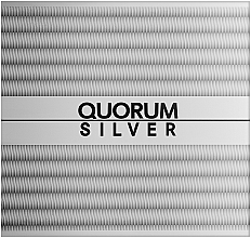 Antonio Puig Quorum Silver - Zestaw (edt/100 ml + a/sh/lot/100 ml) — Zdjęcie N1