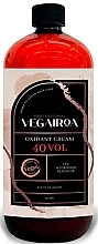 Krem utleniający do włosów 40 vol 12% - Vegairoa Oxidant Cream — Zdjęcie N1