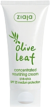 Kup Skoncentrowany krem odżywczy do twarzy Liść oliwki - Ziaja Olive Leaf Concentrated Nourishing Cream SPF20
