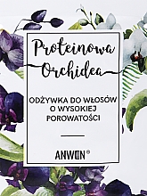 Proteinowa odżywka do włosów o wysokiej porowatości - Anwen Protein Orchid (próbka) — Zdjęcie N1