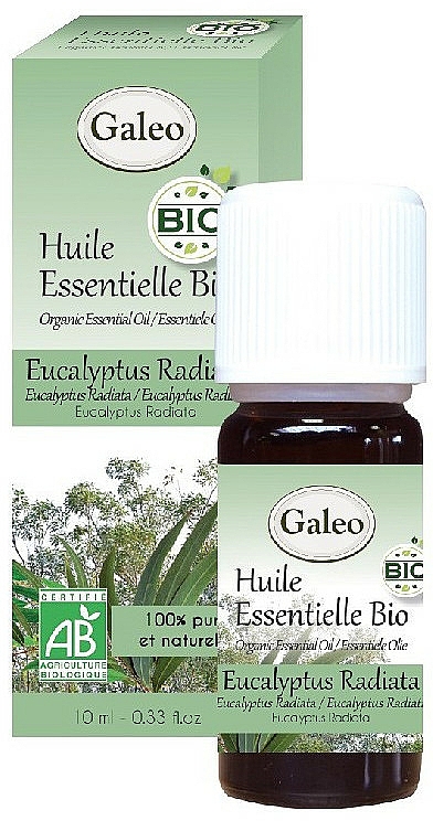 Olejek eteryczny Eukaliptus australijski - Galeo Organic Essential Oil Eucalyptus Radiata — Zdjęcie N1