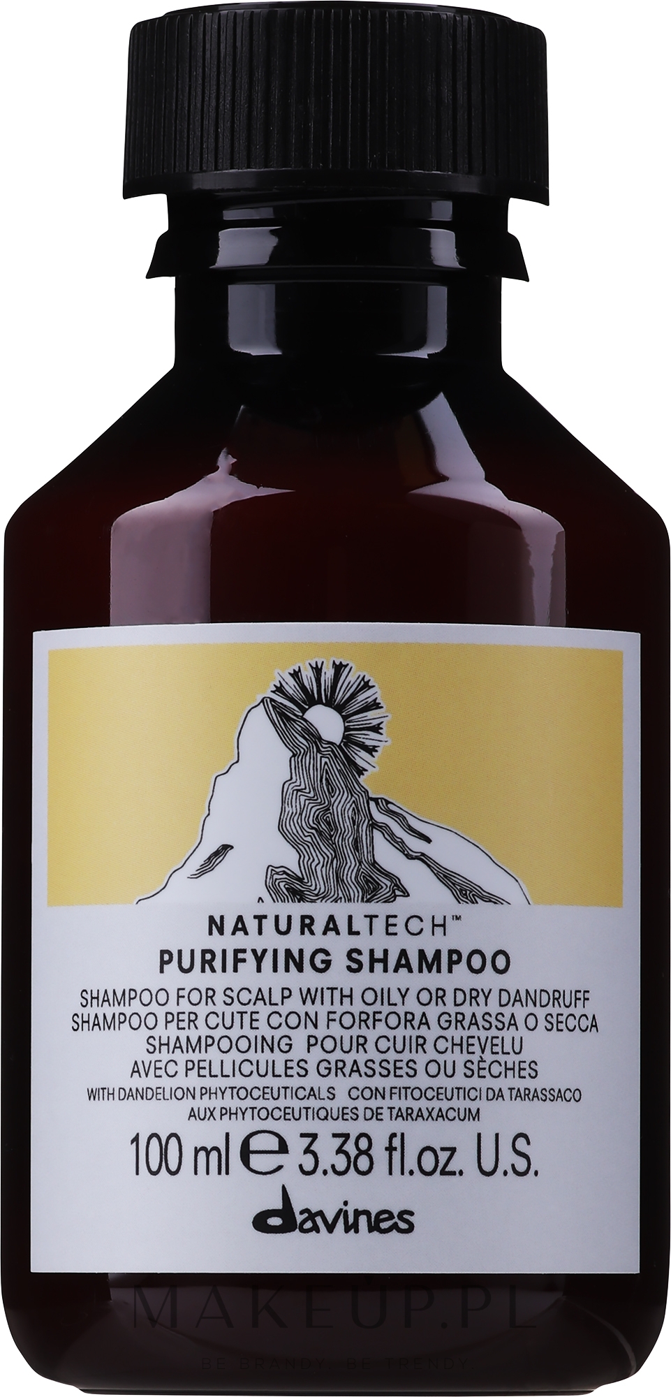 Oczyszczający szampon do skóry głowy z suchym lub mokrym łupieżem - Davines Purifying Shampoo — Zdjęcie 100 ml