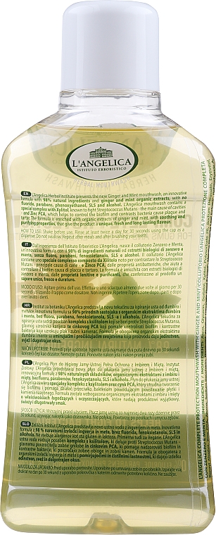 Płyn do płukania ust Imbir i mięta - L'Angelica Herbal Mouthwash Complete Protection Ginger & Mint — Zdjęcie N2