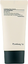 Kojący filtr przeciwsłoneczny - Pyunkang Yul Calming Sun Cream SPF 50+ PA++ — Zdjęcie N1