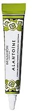 Krem do ust z alantoiną - Benamor Alantoine Lip Cream — Zdjęcie N1