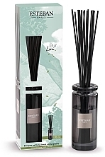Esteban Reve Blanc Bouquet Parfume Initial - Dyfuzor zapachowy — Zdjęcie N1