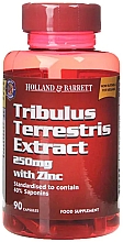 Kup Ekstrakt z buzdyganka naziemnego z cynkiem w kapsułkach - Holland & Barrett Tribulus Terrestris 250mg