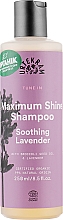 Kup Kojący organiczny szampon lawendowy - Urtekram Soothing Lavender Maximum Shine Shampoo