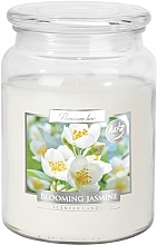 Świeca zapachowa premium w słoiku Blooming Jasmine - Bispol Premium Line Scented Candle Blooming Jasmine — Zdjęcie N2