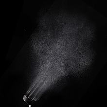 Spray przyspieszający suszenie - L'Oreal Professionnel Serie Expert Curl Expression Drying Accelerator — Zdjęcie N9
