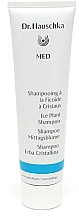 Kup Szampon do włosów - Dr.Hauschka Shampoo Med