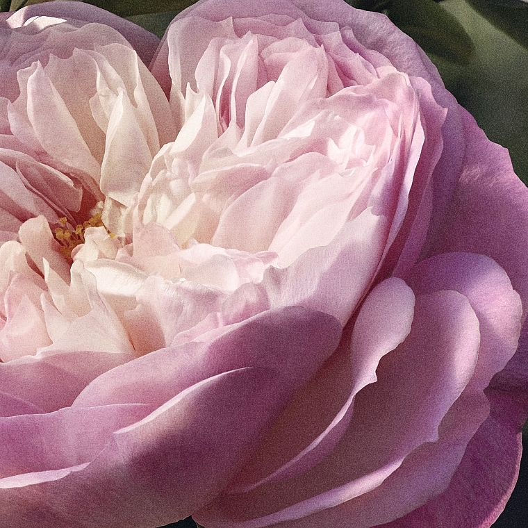Chloé Rose Naturelle Refill - Woda perfumowana (uzupełnienie) — Zdjęcie N8