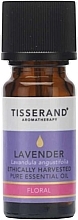 Olejek eteryczny Lawendowy - Tisserand Aromatherapy Ethically Harvested Pure Essential Oil Lavender — Zdjęcie N1