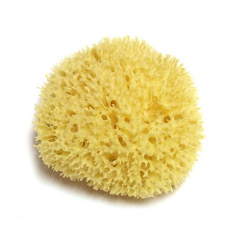 Naturalna gąbka morska, 12,7 cm - Hydrea London Honeycomb Sea Sponge Premium Quality — Zdjęcie N2