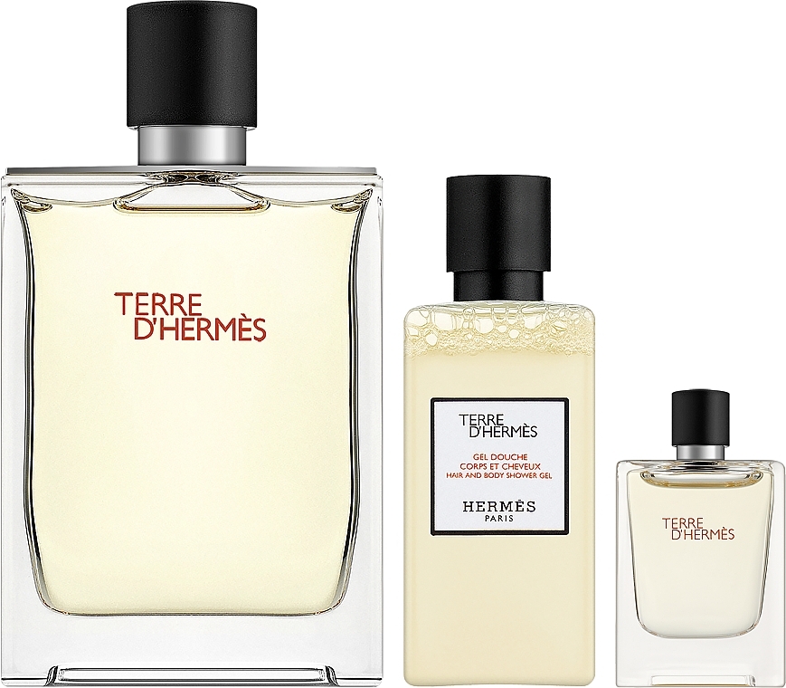 Hermes Terre d’Hermes - Zestaw (edt 100 ml + sh/gel 40 ml + edt 5 ml) — Zdjęcie N1