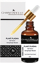Serum wzmacniające do twarzy - Chantarelle Plant Plazma — Zdjęcie N1