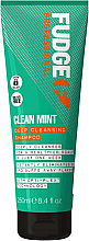 Kup Szampon do głębokiego oczyszczania włosów - Fudge Clean Mint Shampoo