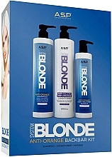 Zestaw - Affinage System Blonde Anti-Orange Back Bar Kit  (shm 1000 ml + cond 1000 ml + mask 500 ml) — Zdjęcie N1