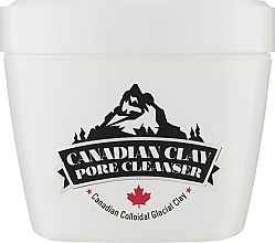 Kup Maska do twarzy oczyszczająca pory z glinką kanadyjską - Neogen Dermalogy Canadian Clay Pore Cleanser