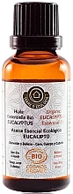 Kup Olejek eteryczny z eukaliptusa - Terre D'Ecologis Organic Eucalyptus Essential Oil