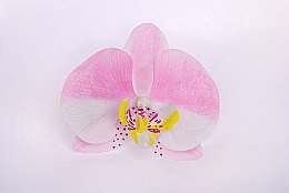 Automatyczna spinka do włosów Różowa orchidea - Katya Snezhkova — Zdjęcie N1