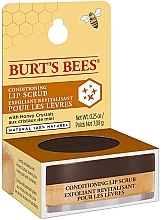 Odżywczy peeling do ust - Burt's Bees Conditioning Lip Scrub — Zdjęcie N5