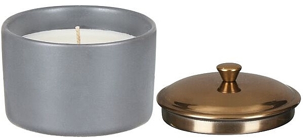 Świeca zapachowa Wetiweria i kardamon - Paddywax Hygge Ceramic Candle Grey Vetiver & Cardamom — Zdjęcie N2