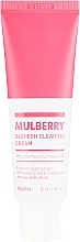 PRZECENA! Rozjaśniająco-oczyszczający krem do cery problematycznej - A'pieu Mulberry Blemish Clearing Cream * — Zdjęcie N2