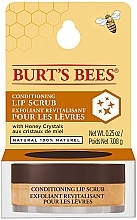 Odżywczy peeling do ust - Burt's Bees Conditioning Lip Scrub — Zdjęcie N4