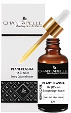 Kup Serum do twarzy - Chantarelle Plant Plazma