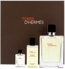 Hermes Terre DHermes - Zestaw (edt/100ml + edt/5ml + sh/gel/40ml) — Zdjęcie N1