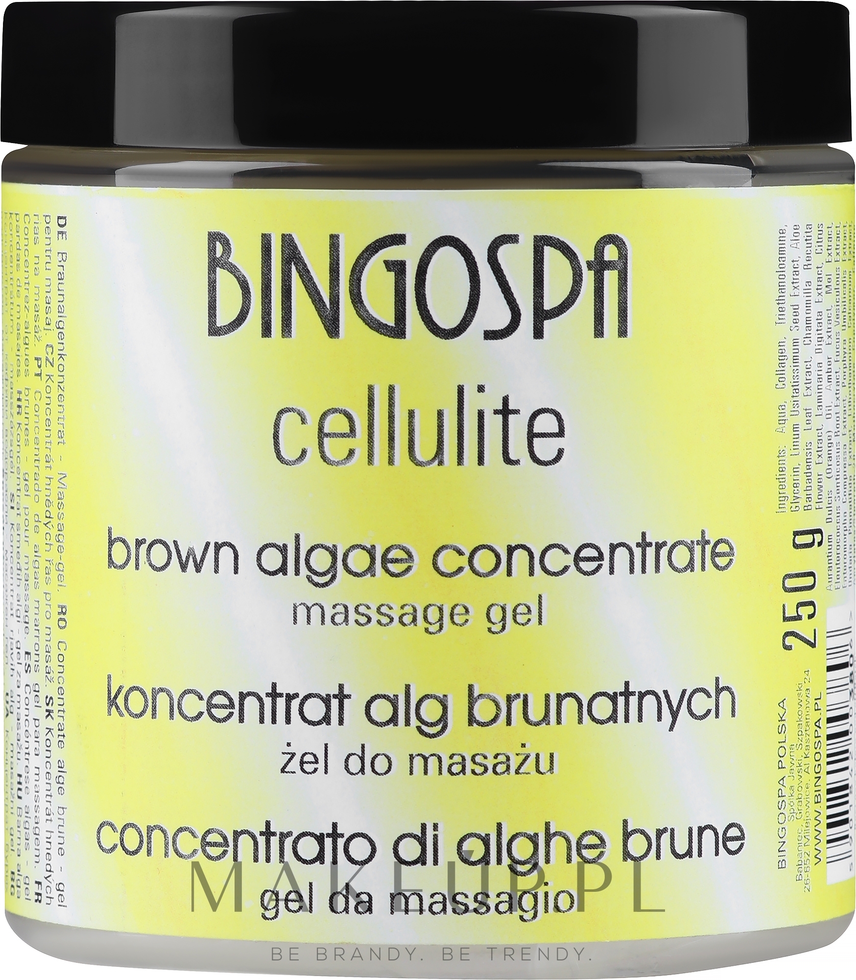 Koncentrat alg brunatnych z koenzymem Q10 do masażu spa - BingoSpa Concentrate Brown Algae For Spa Massage — Zdjęcie 250 g