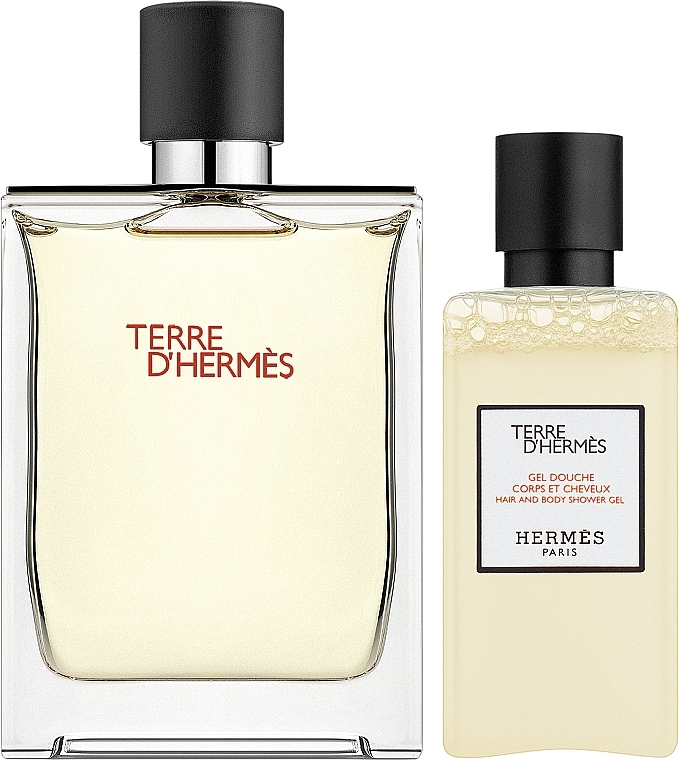 Hermes Terre d'Hermes - Zestaw (edt 100 ml + sh/gel 80 ml) — Zdjęcie N2