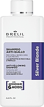 Szampon neutralizujący żółty odcień - Brelil Silver Blonde Treatment Anti-Yellowing Shampoo — Zdjęcie N1