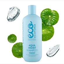 Kup Szampon do włosów - Ecoforia Hair Euphoria Aqua Moist Shampoo