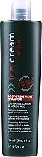 Kup Regenerujący szampon do włosów farbowanych - Inebrya Green Post-Treatment Shampoo