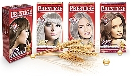 PRZECENA! Farba do włosów - Vip’s Prestige * — Zdjęcie N4