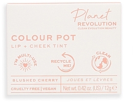 	Róż do policzków i ust - Planet Revolution The Colour Pot Lip + Cheek Tint — Zdjęcie N3
