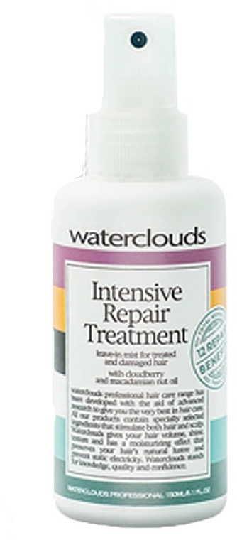 Intensywnie regenerująca odżywka do włosów w sprayu - Waterclouds Intesive Repair Treatment — Zdjęcie N2