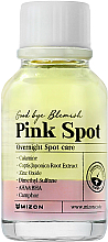 Kup Serum do stosowania miejscowego przeciw trądzikowi na noc - Mizon Pink Spot Good Bye Blemish Overnight Spot Care