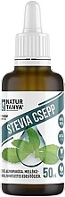 Kup Stewia w płynie - Natur Tanya Stevia Drops