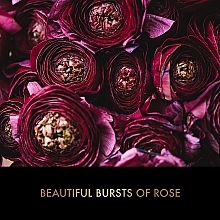 Zestaw - Baylis & Harding Boudoire Rose Luxury Instant Glam Set (b/spr/95ml + l/gloss/12ml) — Zdjęcie N3