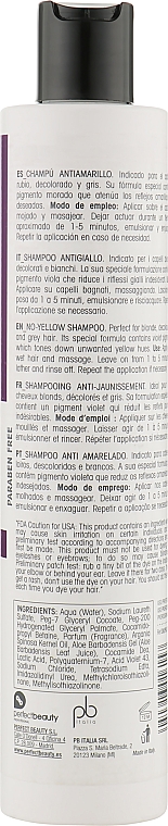 Szampon przeciw żółtym tonom z ekstraktem arganowym i aloesowym - Design Look No Yellow Shampoo Vegan Argan & Aloe Vera — Zdjęcie N2