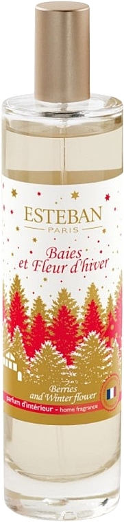 Esteban Berries And Winter Flower - Perfumowany spray do domu — Zdjęcie N1