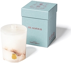 Świeca zapachowa Abd el Kader - Cire Trudon Albatres Collection Scented Candle — Zdjęcie N1